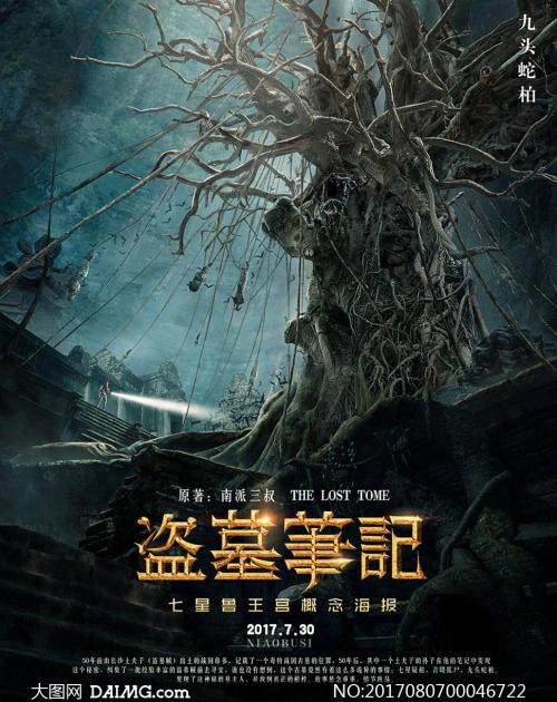 买假新布伦瑞克省驾驶证